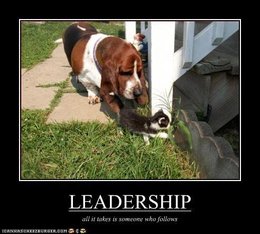 Trainingen: PIE & Situational Leadership-picture