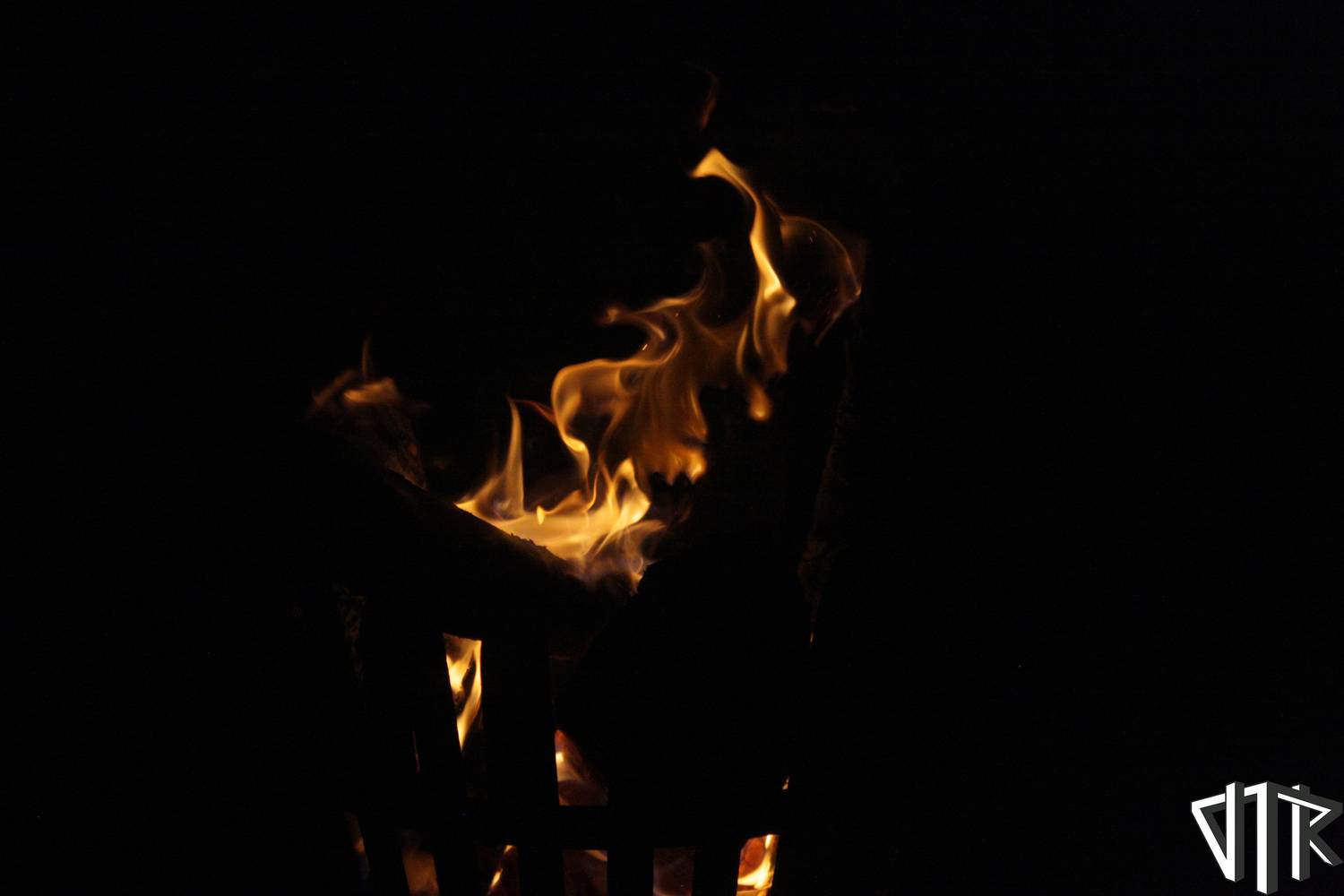 Burn The Books 123