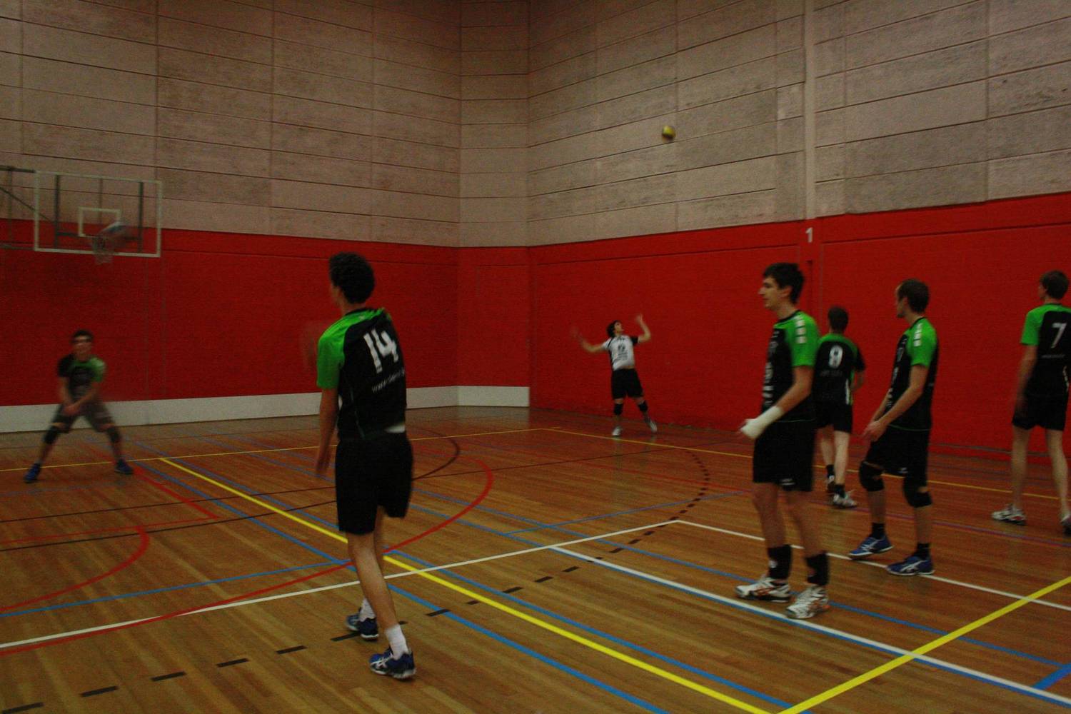 Volleybal H 2013 2