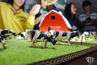 koeliarde_18_IMG_6359