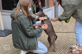 oerwoud-dag-1_34_IMG_5753-35-35