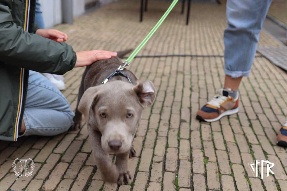 oerwoud-dag-1_35_IMG_5756-38-38