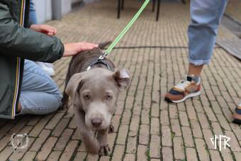 oerwoud-dag-1_35_IMG_5756-38-38