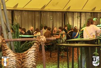 oerwoud-reborn-dag-2_2_38_IMG_9685