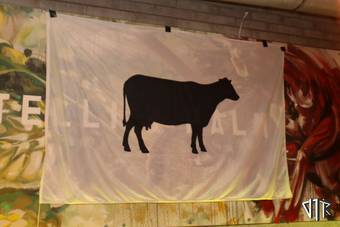 schijt-je-rijkzat-koeliarde_10_IMG_0322