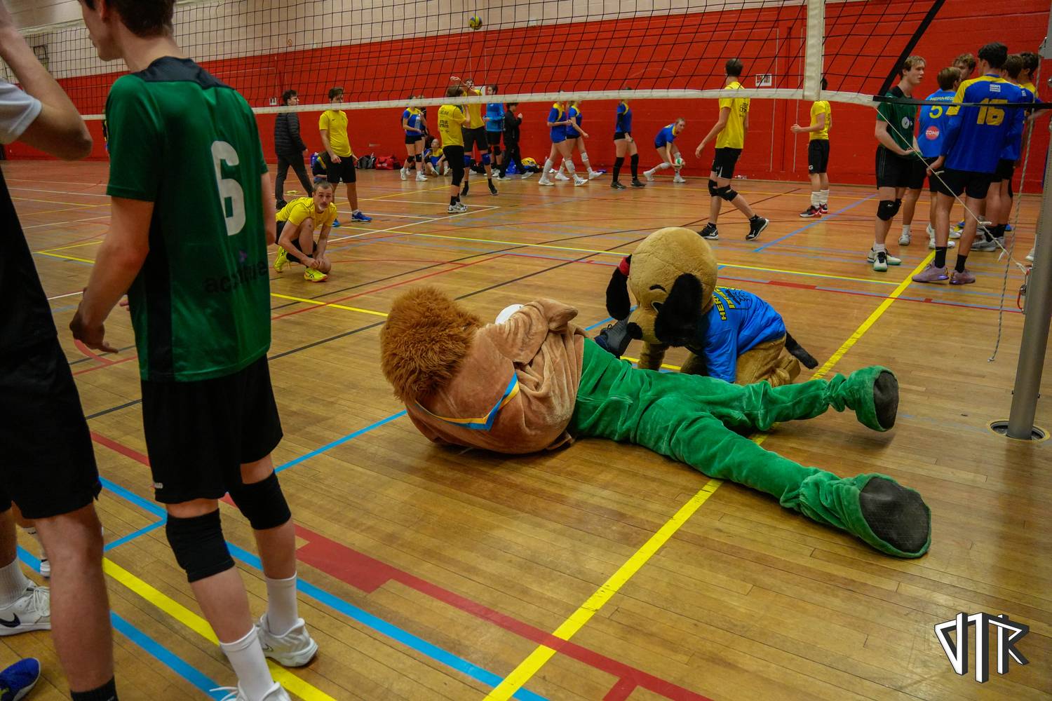 vtkift_89__VTK2760