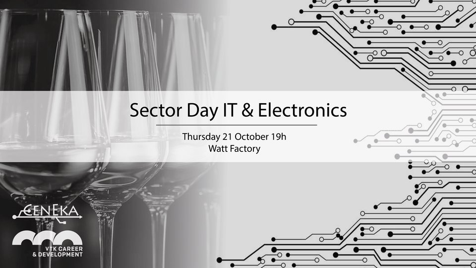 Sector Day: IT & Electronics